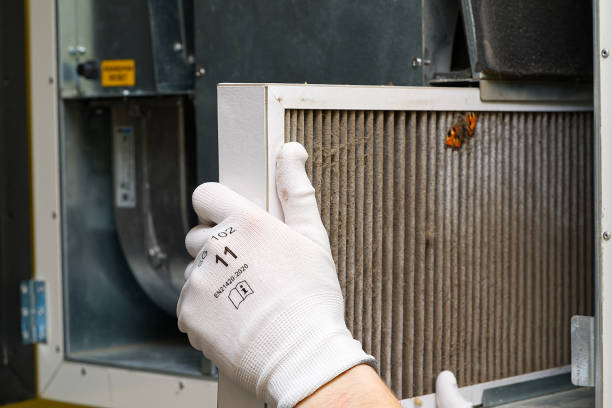 Best Duct Cleaning for Homes  in Lakeland Village, CA