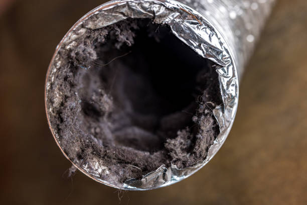 Best Best Air Duct Cleaning Near Me  in Lakeland Village, CA